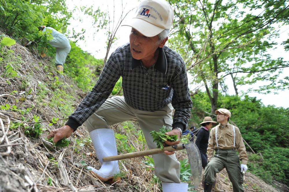 山の匠に教わる、人気の山修行・実践型インターン。山菜採りから狩猟まで山での暮らしを体験できる。