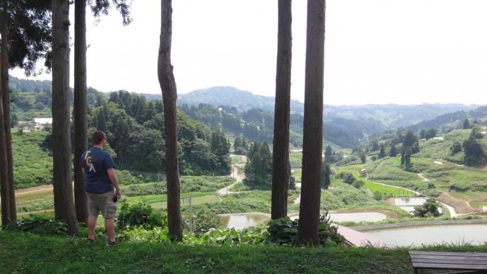 山古志の棚田風景