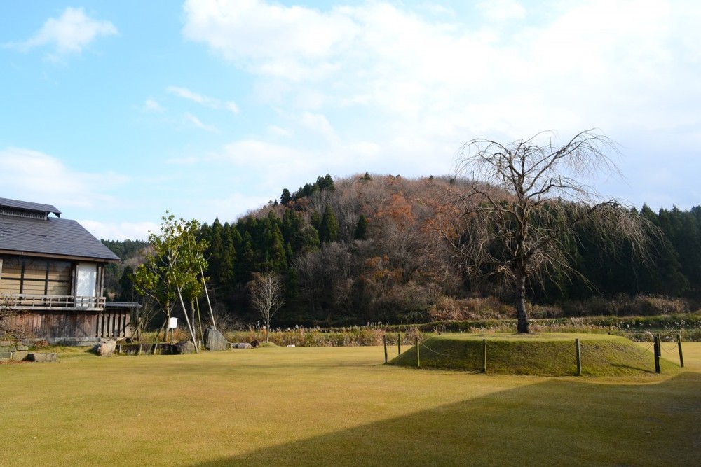 休憩スペースからは、山と田園風景が見渡すことができ、春には一本桜が咲き誇る。