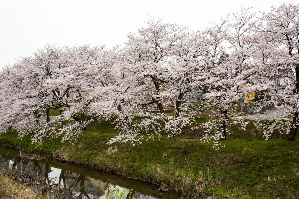 _越路岩野