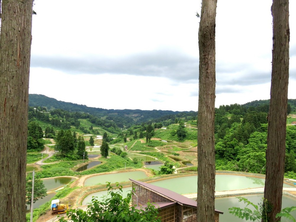 20山古志の風景２