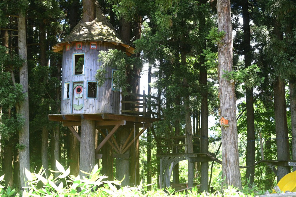 まるで秘密基地！長岡・栃尾にひっそりと佇むツリーハウスに日本屈指のビルダーを訪ねた | 長岡市の公式Webメディア「な！ナガオカ」