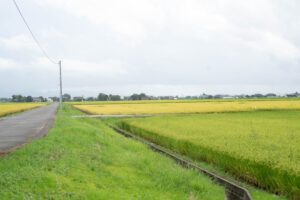 `AɊYBߓElEcI񂪖͍uƂɐm׍Hv